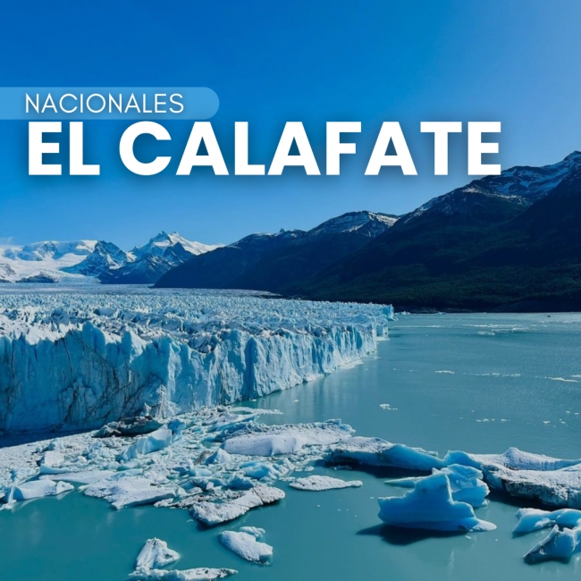  EL CALAFATE