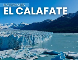  EL CALAFATE